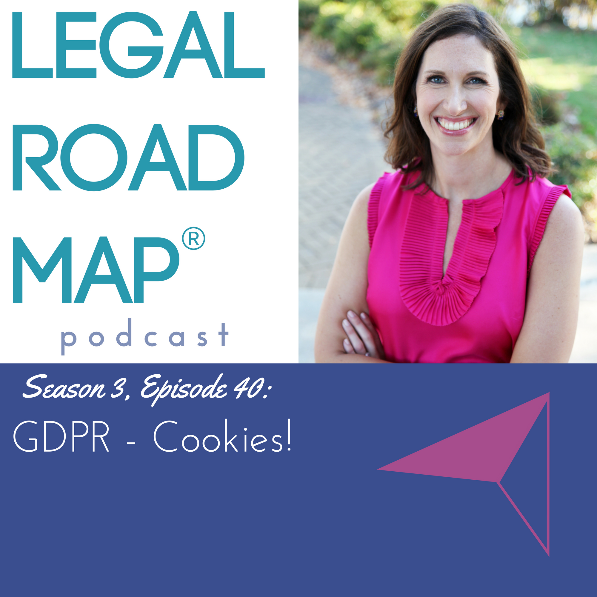 GDPR Mini-Training #3 (Legal Road Map® Podcast S3E40)